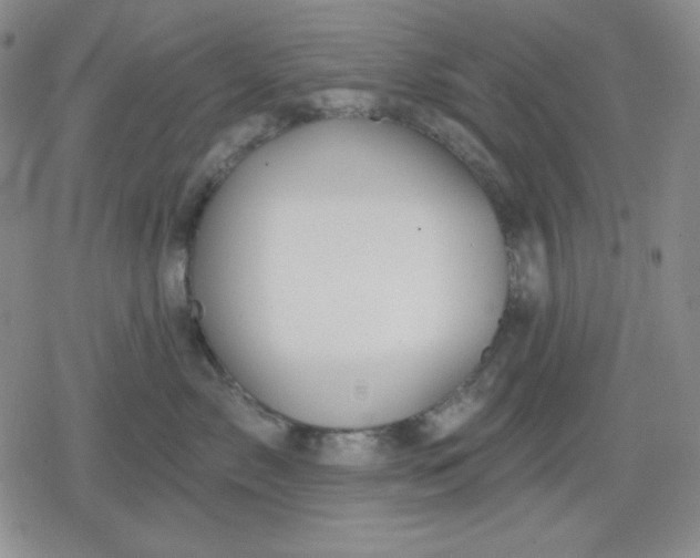 X0000080180717200612221316