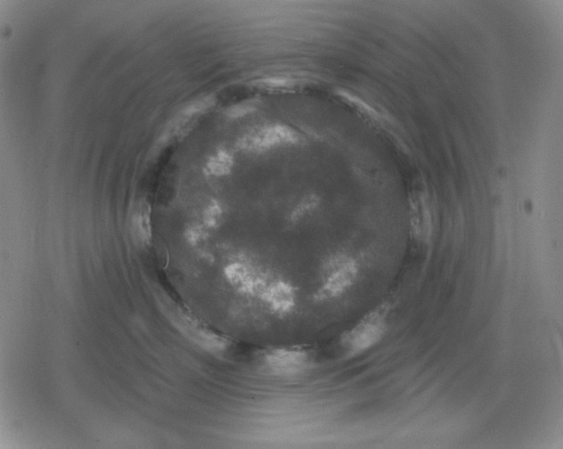 X0000080180718200612221316