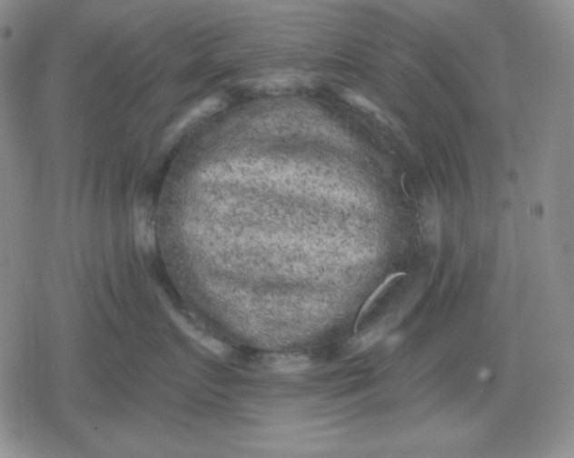 X0000080180719200612221316