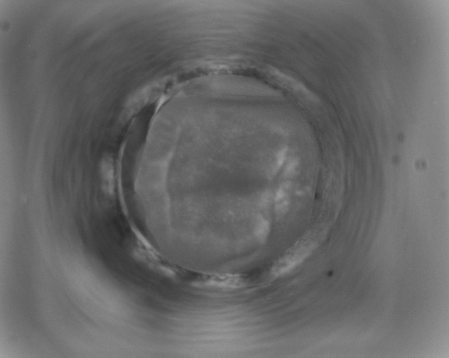 X0000080180720200612221316