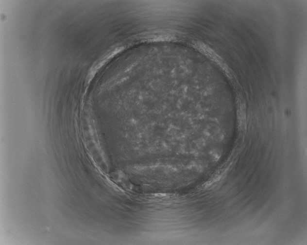 X0000080180721200612221315