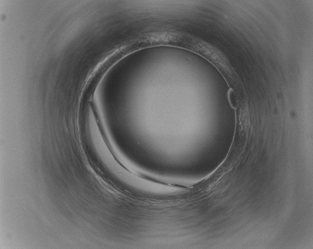 X0000080180722200612221315