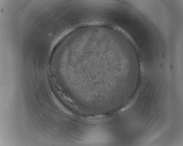 X0000080180725200612221315