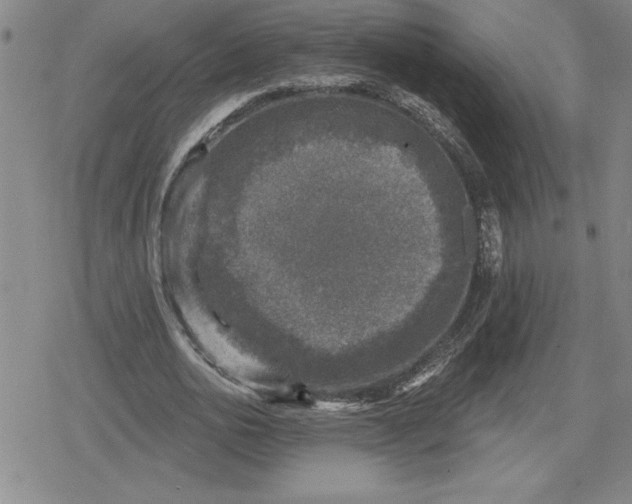 X0000080180726200612221315