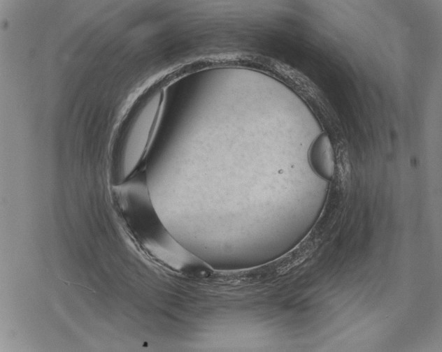 X0000080180728200612221315