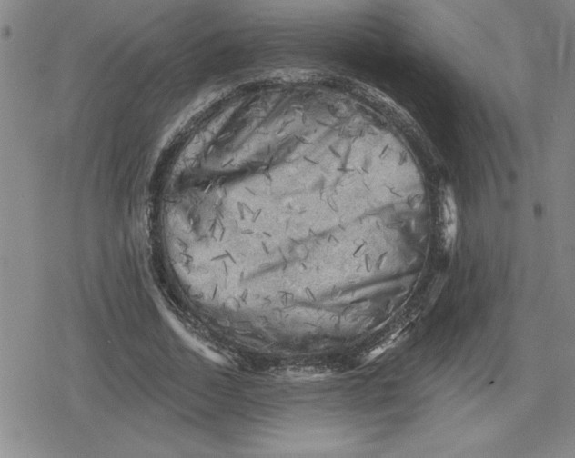 X0000080180730200612221315