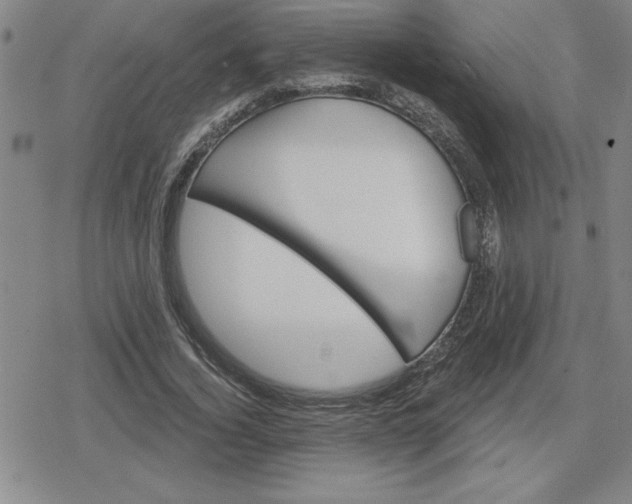 X0000080180732200612221315