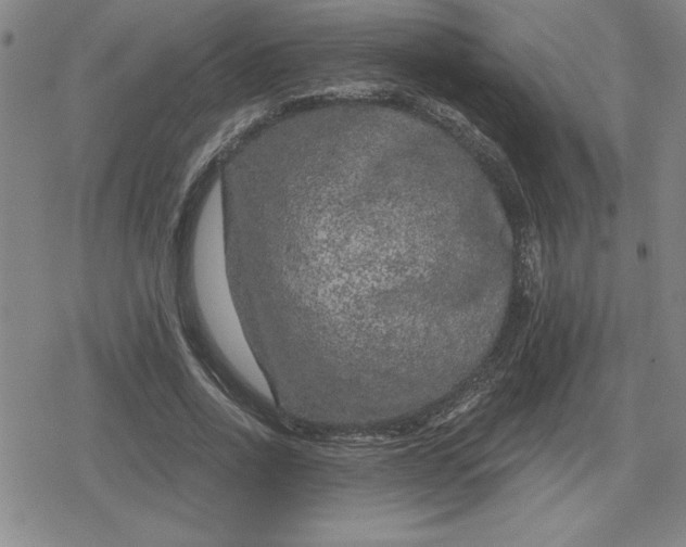 X0000080180734200612221315