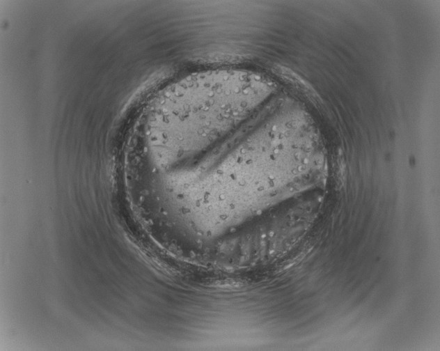 X0000080180735200612221315