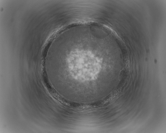 X0000080180736200612221315