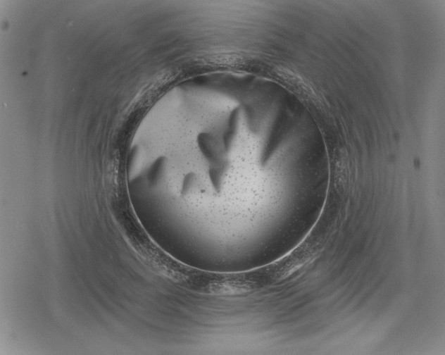 X0000080180739200612221315