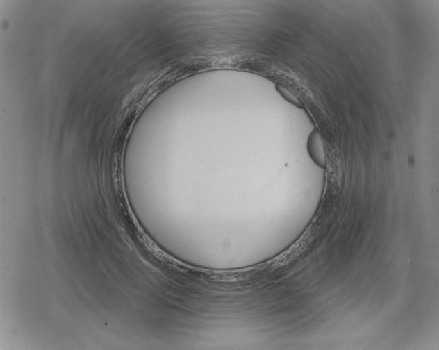 X0000080180740200612221315