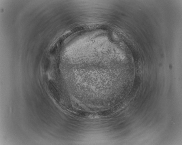 X0000080180742200612221315