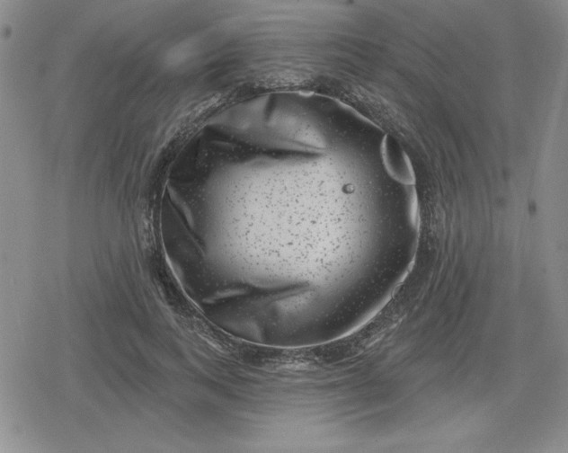 X0000080180743200612221315