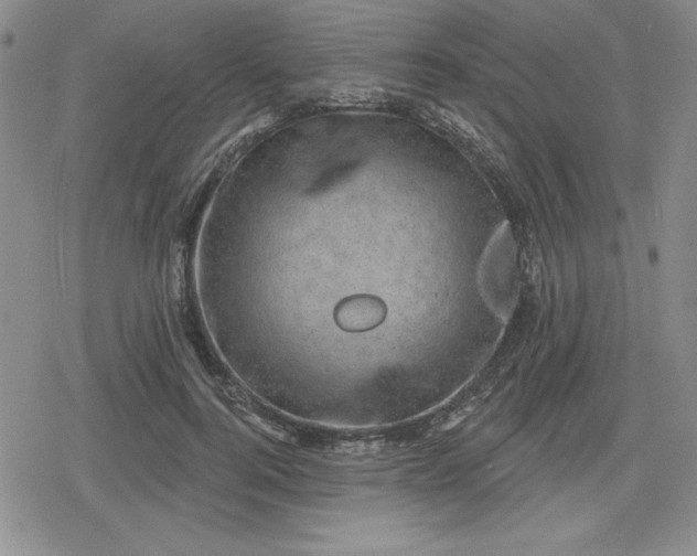 X0000080180744200612221315