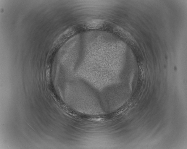 X0000080180745200612221315