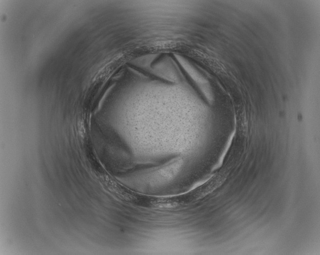 X0000080180746200612221315