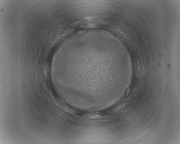 X0000080180747200612221315