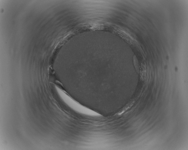 X0000080180748200612221315