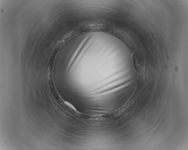 X0000080180752200612221315