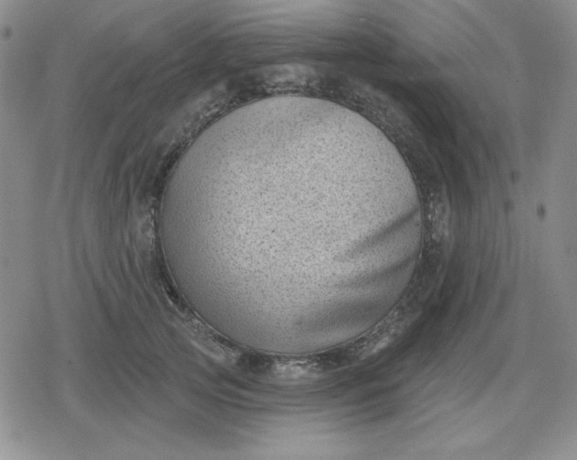 X0000080180753200612221315