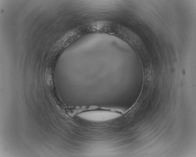 X0000080180754200612221315