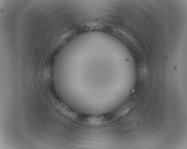 X0000080180756200612221315