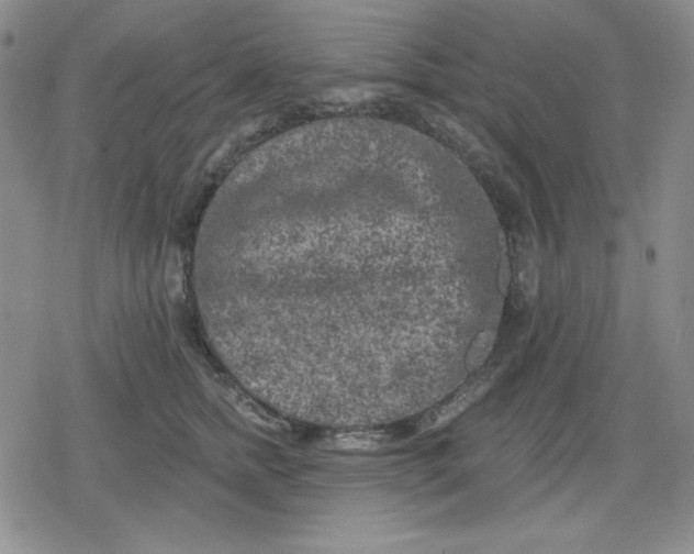 X0000080180758200612221315