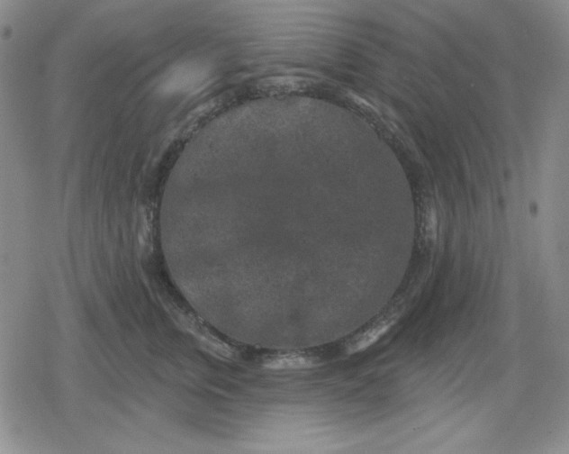 X0000080180759200612221315