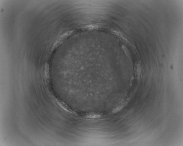 X0000080180760200612221315