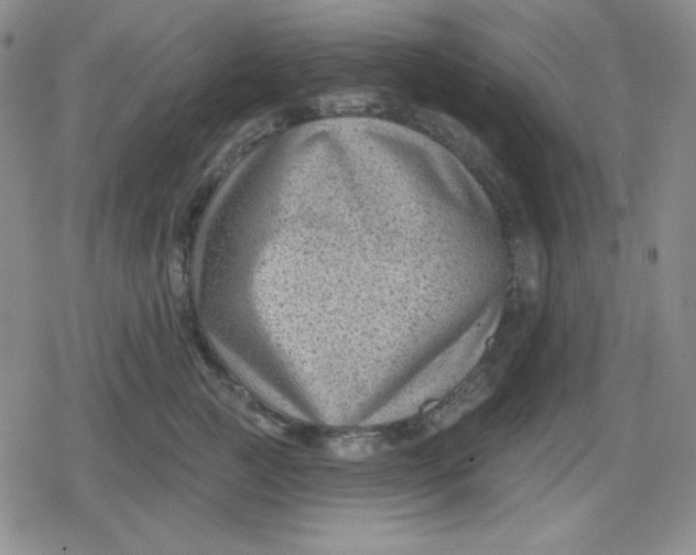 X0000080180761200612221315