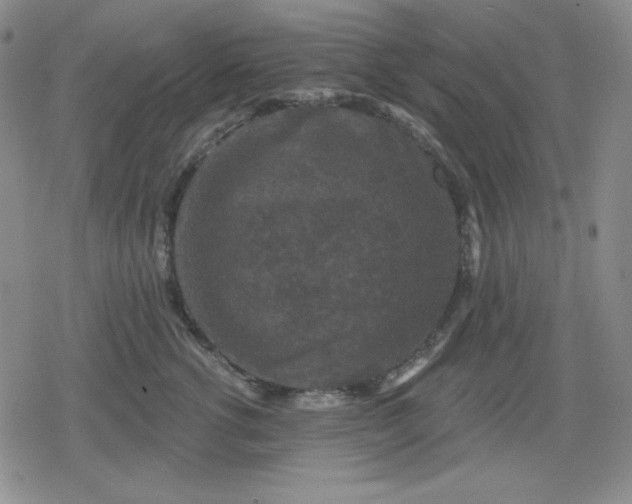 X0000080180762200612221315