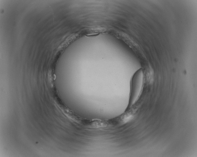 X0000080180764200612221316