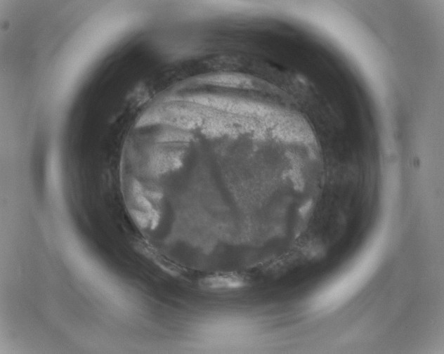 X0000080180765200612221316