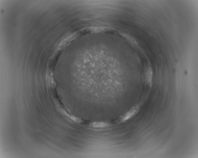 X0000080180766200612221316