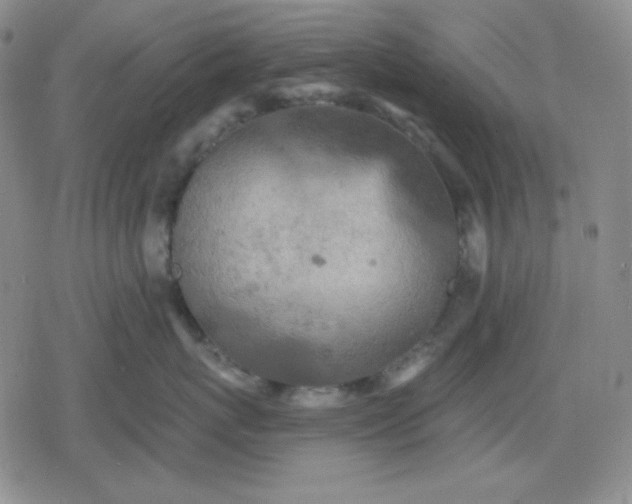 X0000080180767200612221316