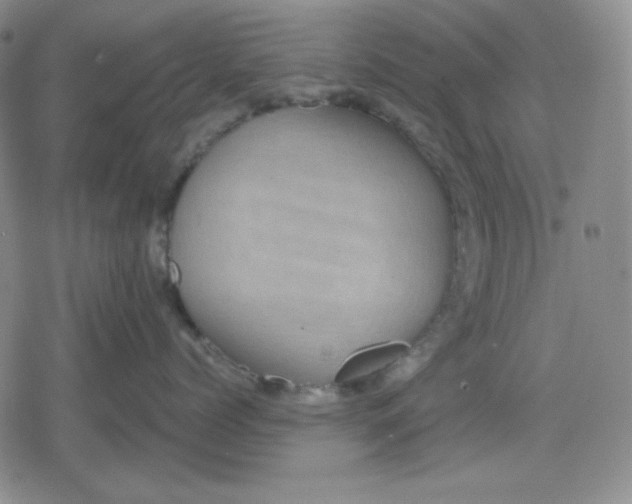 X0000080180768200612221316