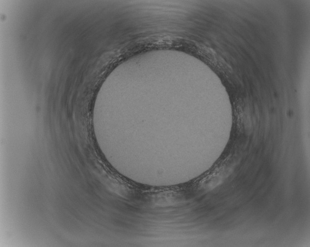 X0000080180769200612221315