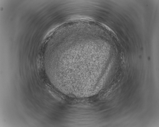 X0000080180775200612221315