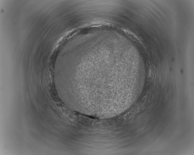 X0000080180776200612221315