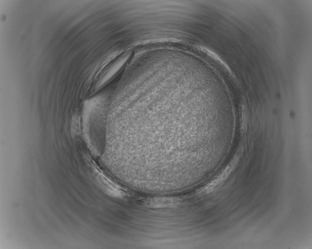 X0000080180777200612221315