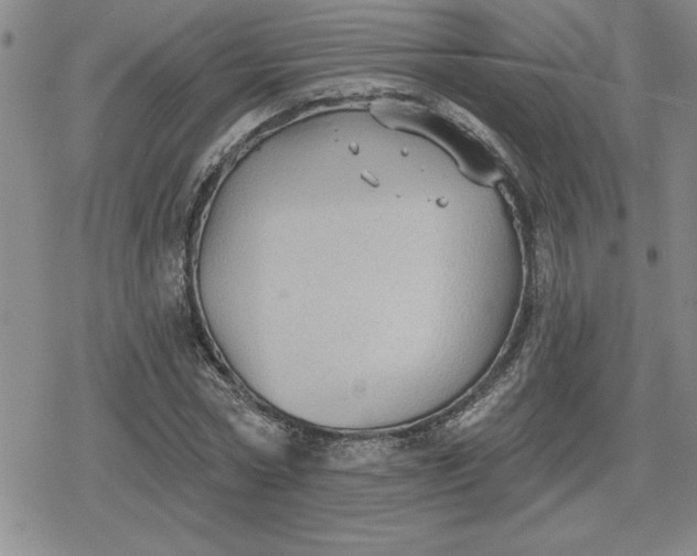 X0000080180778200612221315