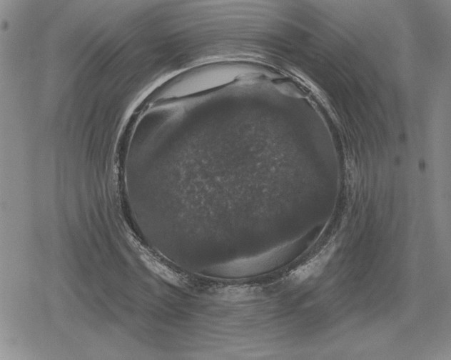 X0000080180779200612221315