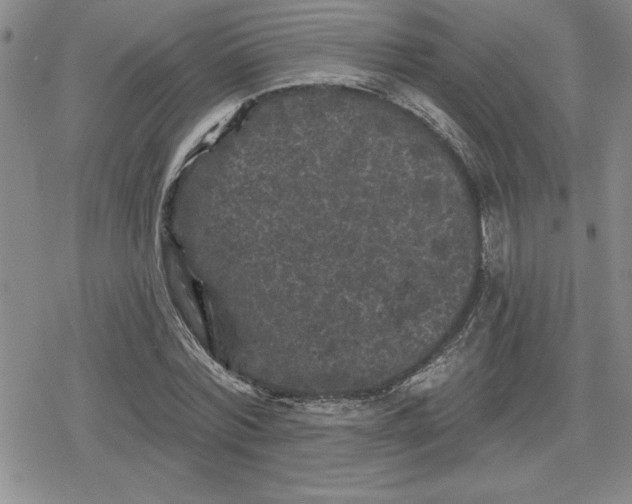 X0000080180780200612221315