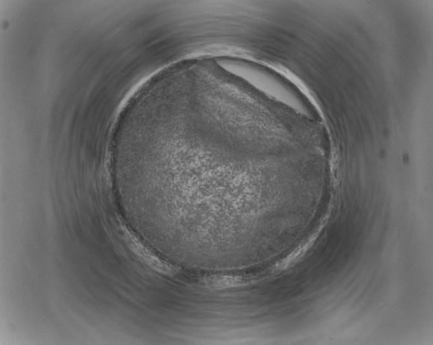 X0000080180783200612221315