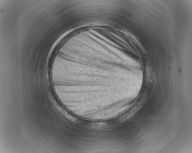 X0000080180784200612221315