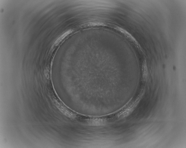 X0000080180785200612221315