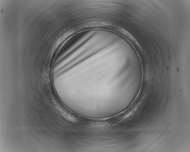 X0000080180786200612221315