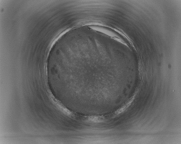 X0000080180790200612221314