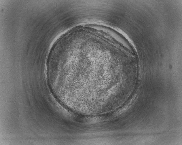 X0000080180791200612221314